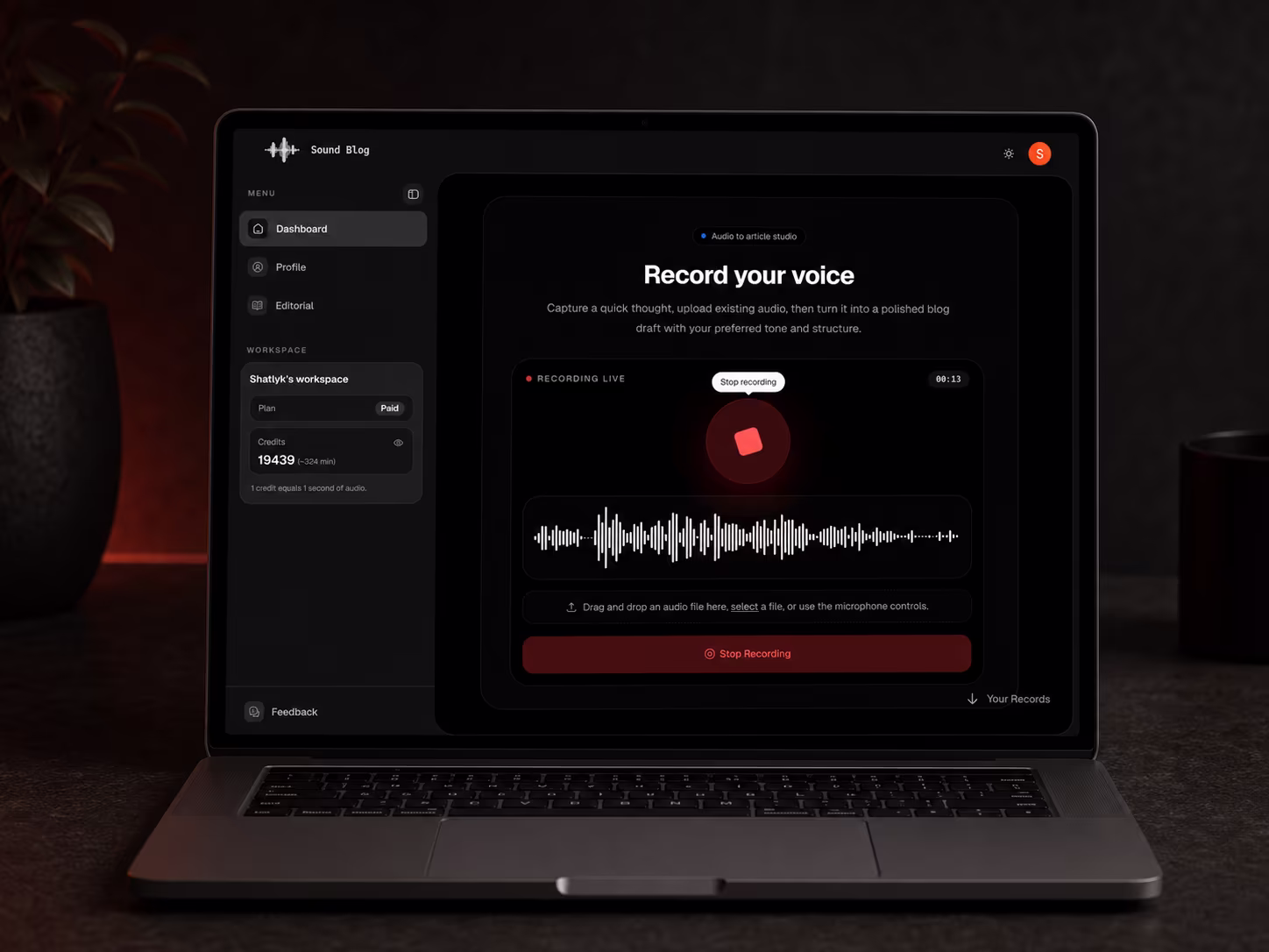 Sound Blog live recording state with waveform feedback